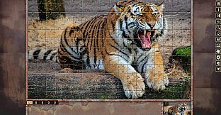 Pixel Puzzles Traditional Jigsaws Pack: Variety Pack 11