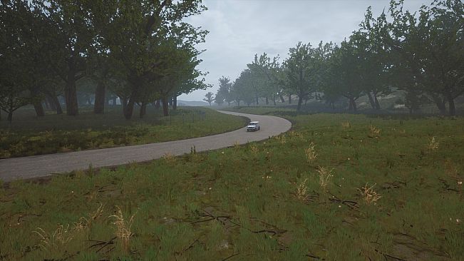 Velocity Racing: 1000