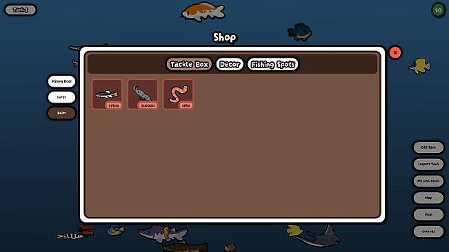 Cozy Aquarium