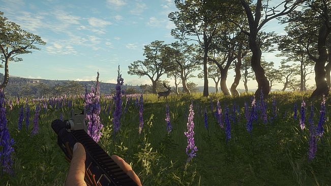 theHunter Call of the Wild - Modern Rifle Pack