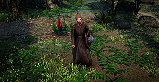Swordhaven: Magus Tower Pack