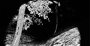 Monkey See, Monkey Doo, Monkey Kiss You