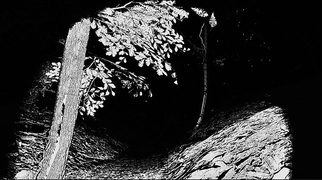 Monkey See, Monkey Doo, Monkey Kiss You