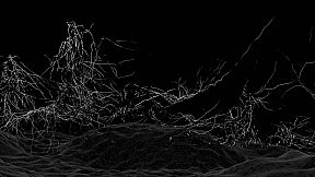 Eon of the Green: Area Crescent