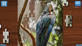 Bepuzzled Jigsaw Puzzle: Animals 103 Puzzles