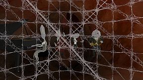 My Inner Ear Quartet