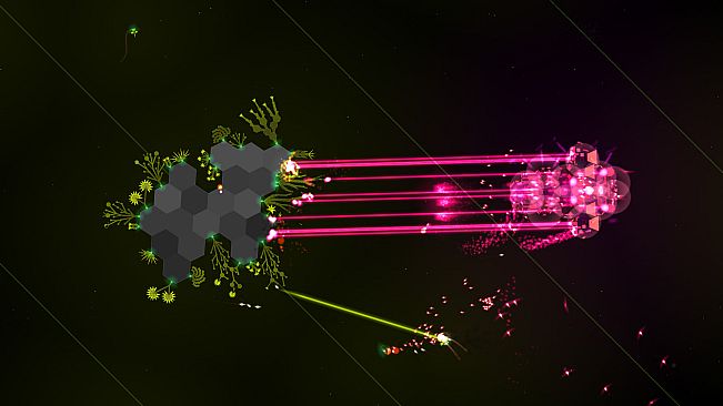 Reassembly Fields Expansion