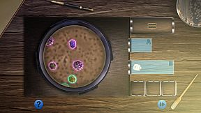 Hidden Investigation 3: Crime Files