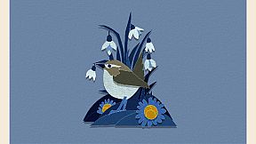 Papercut Art Gallery-Nature