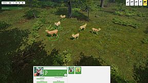 Natural Instincts: European Forest