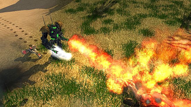 Zero-K - Gold Donation ($50)