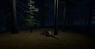 Stray Light