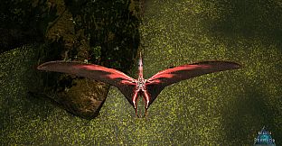 Beasts of Bermuda - Tropeognathus Supporter Warpaint