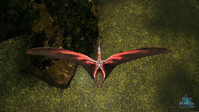 Beasts of Bermuda - Tropeognathus Supporter Warpaint