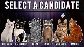 Cat President 2: Purrlitical Revolution