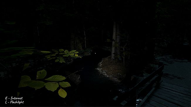 Project Unknown Designation