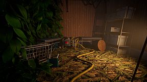 Santo Island Incident