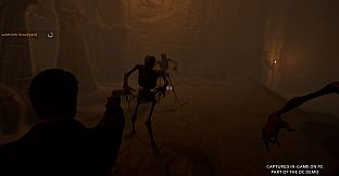 Cosmic Horizons: Path of the Wanderer