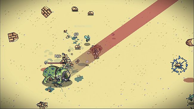 Whiskers In The Sand