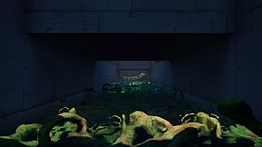 Santo Island Incident