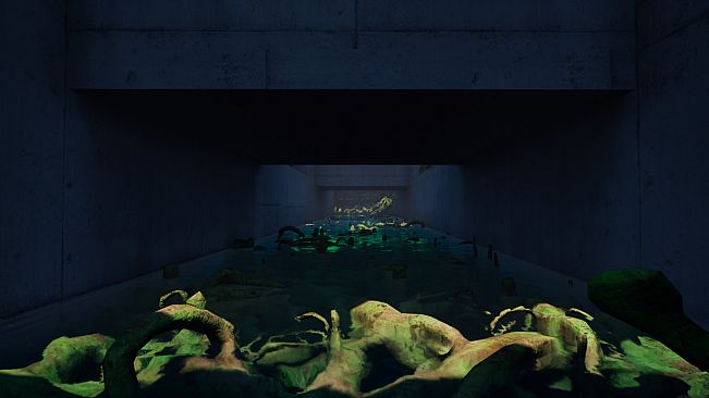 Santo Island Incident