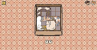 Box Cats Puzzle