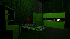 Twelve Mental Patients