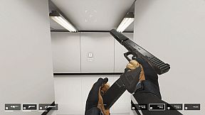 They Killed Your Cat