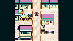 Toni Island Adventure