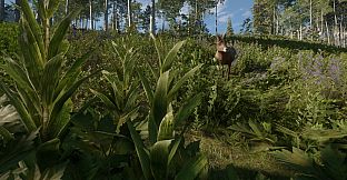 theHunter: Call of the Wild - Silver Ridge Peaks