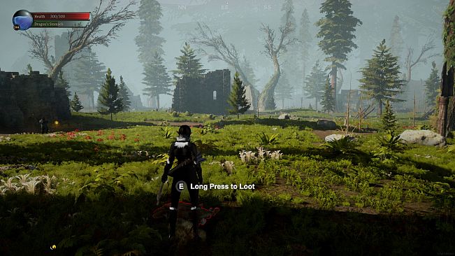 Last Dragoon: Awaken