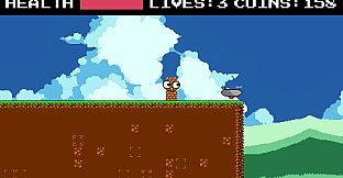 Mr. Brick Adventures