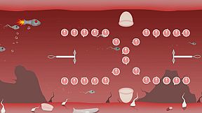 Fallopian Frenzy! Come Again?