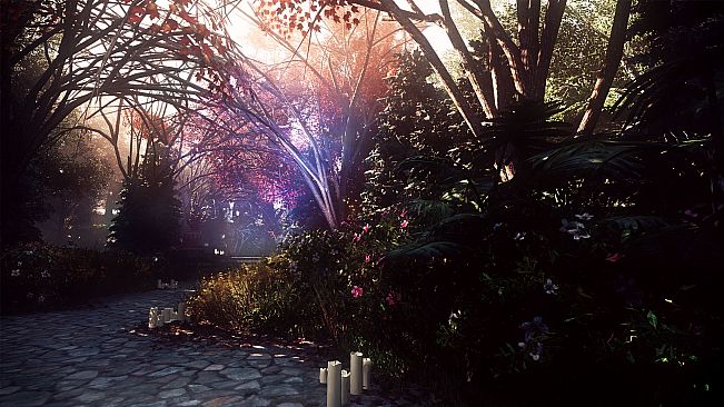 The House In The Hollow