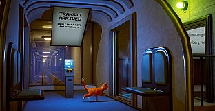 Schrodinger's Cat Burglar