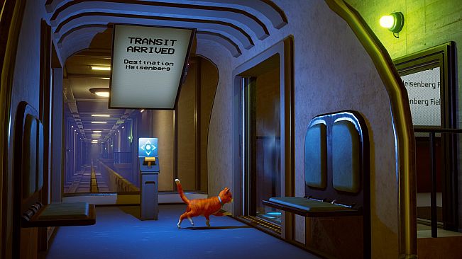 Schrodinger's Cat Burglar