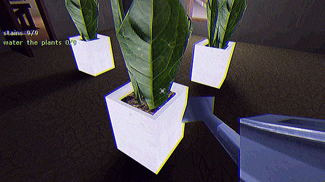 (BURIED TAPES) The Cleaner