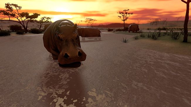 SAVANNA SHOT VR