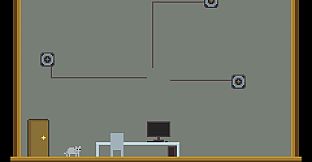 A Good Cat and The Graduate Life