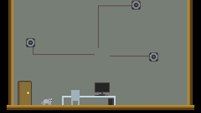 A Good Cat and The Graduate Life