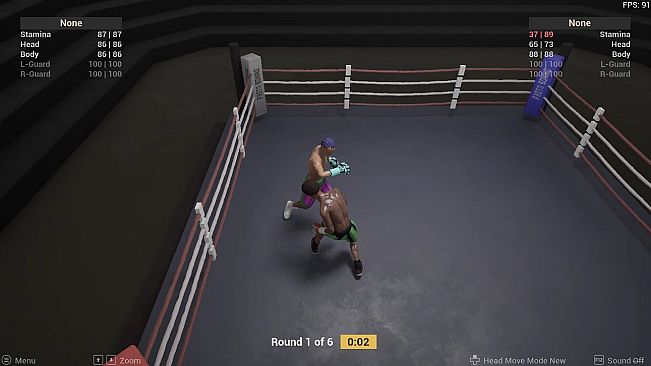 Proto Boxing