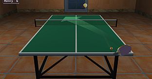 Table Tennis Pro