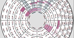 Liquid Rhythm BeatWeaver