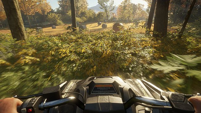 theHunter: Call of the Wild - ATV SABER 4X4