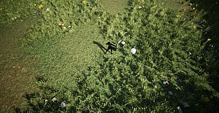 Shades Of Rayna - Damage Type Pets