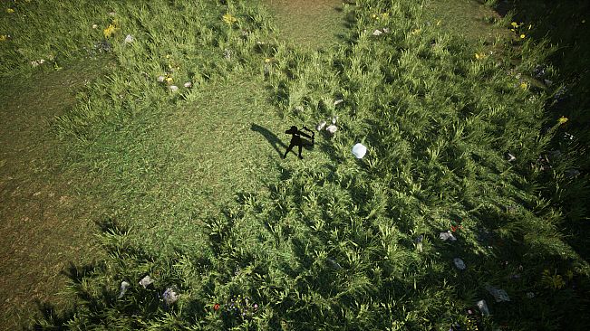 Shades Of Rayna - Damage Type Pets