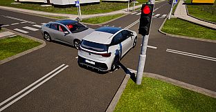 WorldDrive: Real Open-World Driving Simulator
