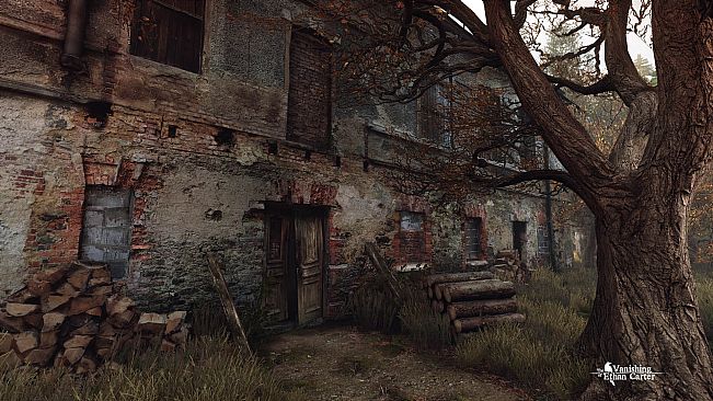 The Vanishing of Ethan Carter - Collector's Edition Upgrade