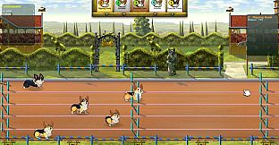 Corgi Race Live