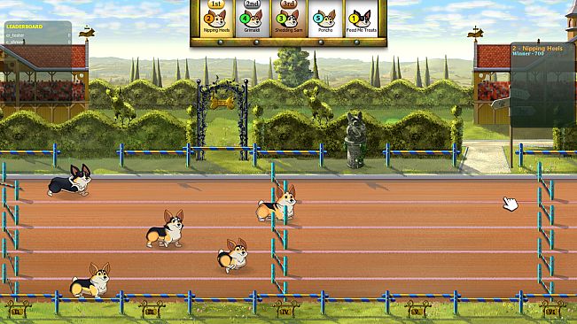 Corgi Race Live